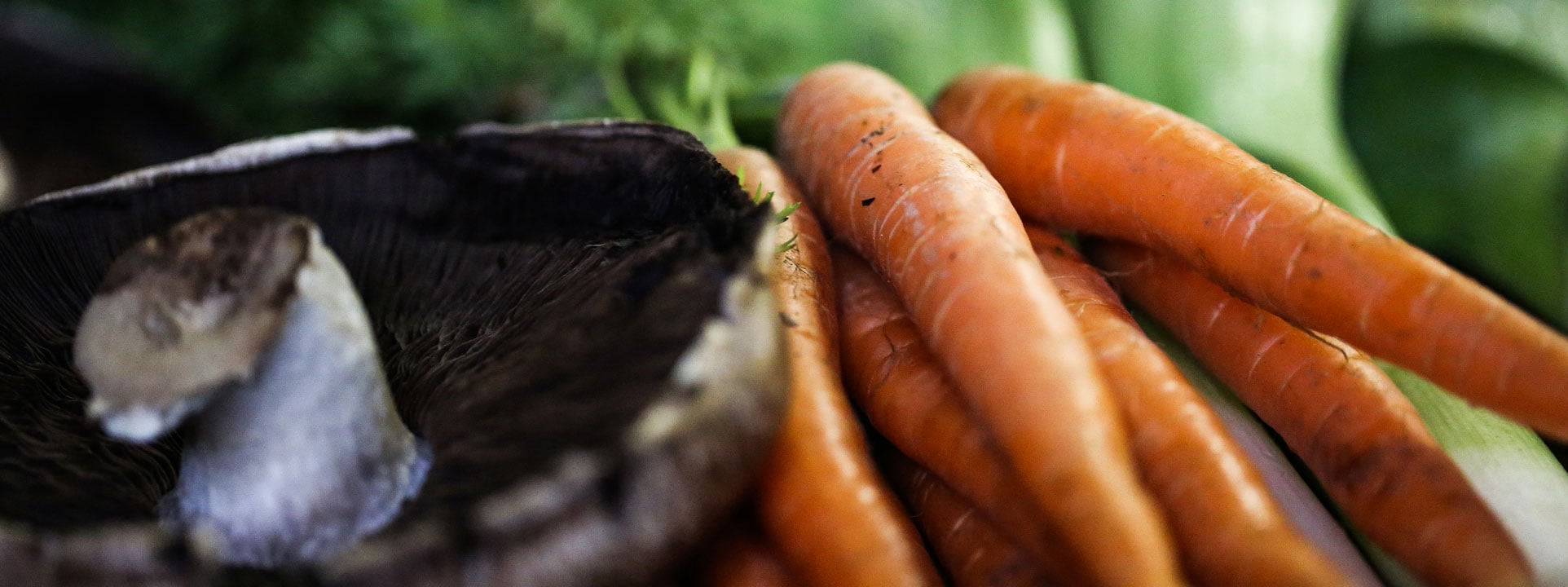 Närbild på svamp och morot