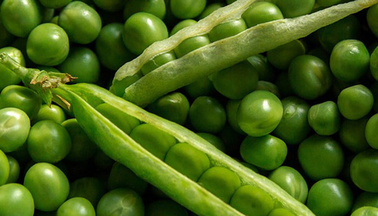 Ärtskida och massor av gröna ärter 