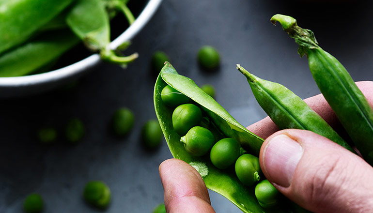 Hand som håller i en grön ärtskida