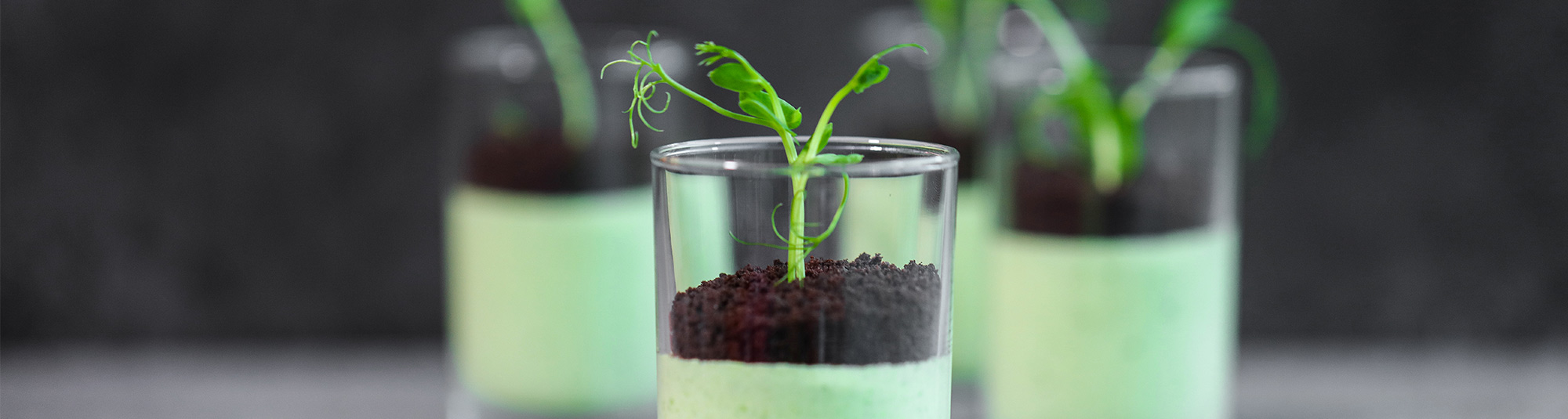 Ärtefterrätt med Oreo