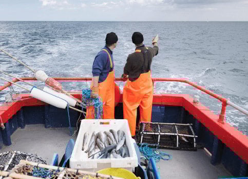 Vi har ansvar för fisket