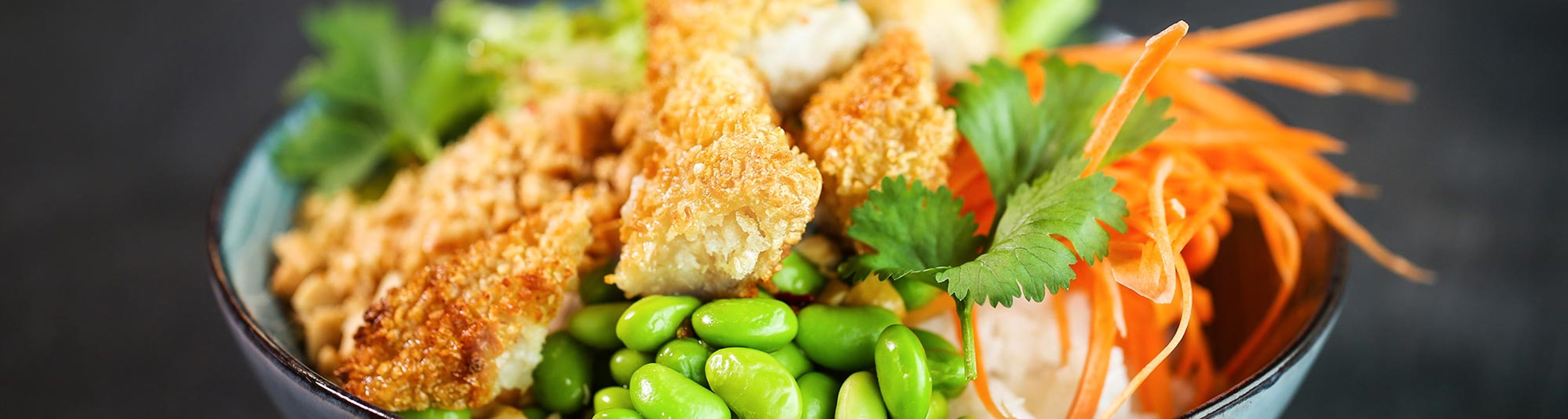fisk-bowl-crispies-2000x535.jpg