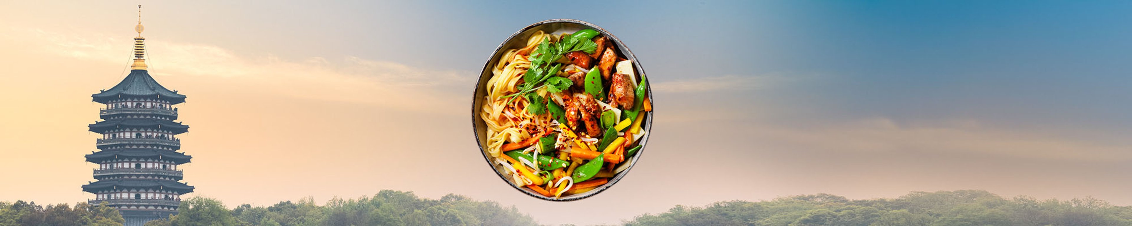 SE-WOK-category-2000x400px-Vietnam-450g.jpg