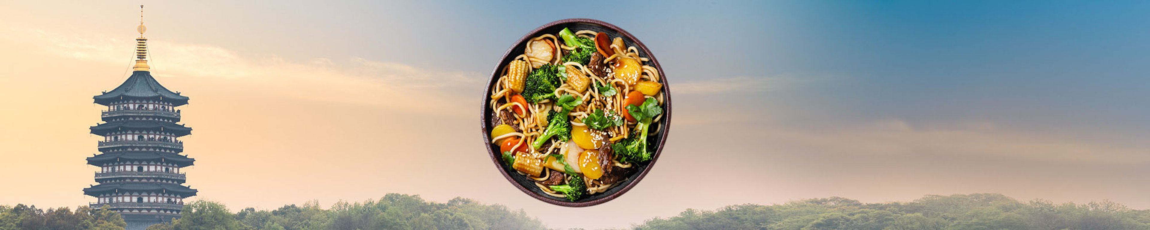 SE-WOK-category-2000x400px-Classic-850g.jpg