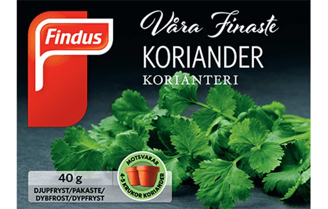 koriander_packshot470x300.png
