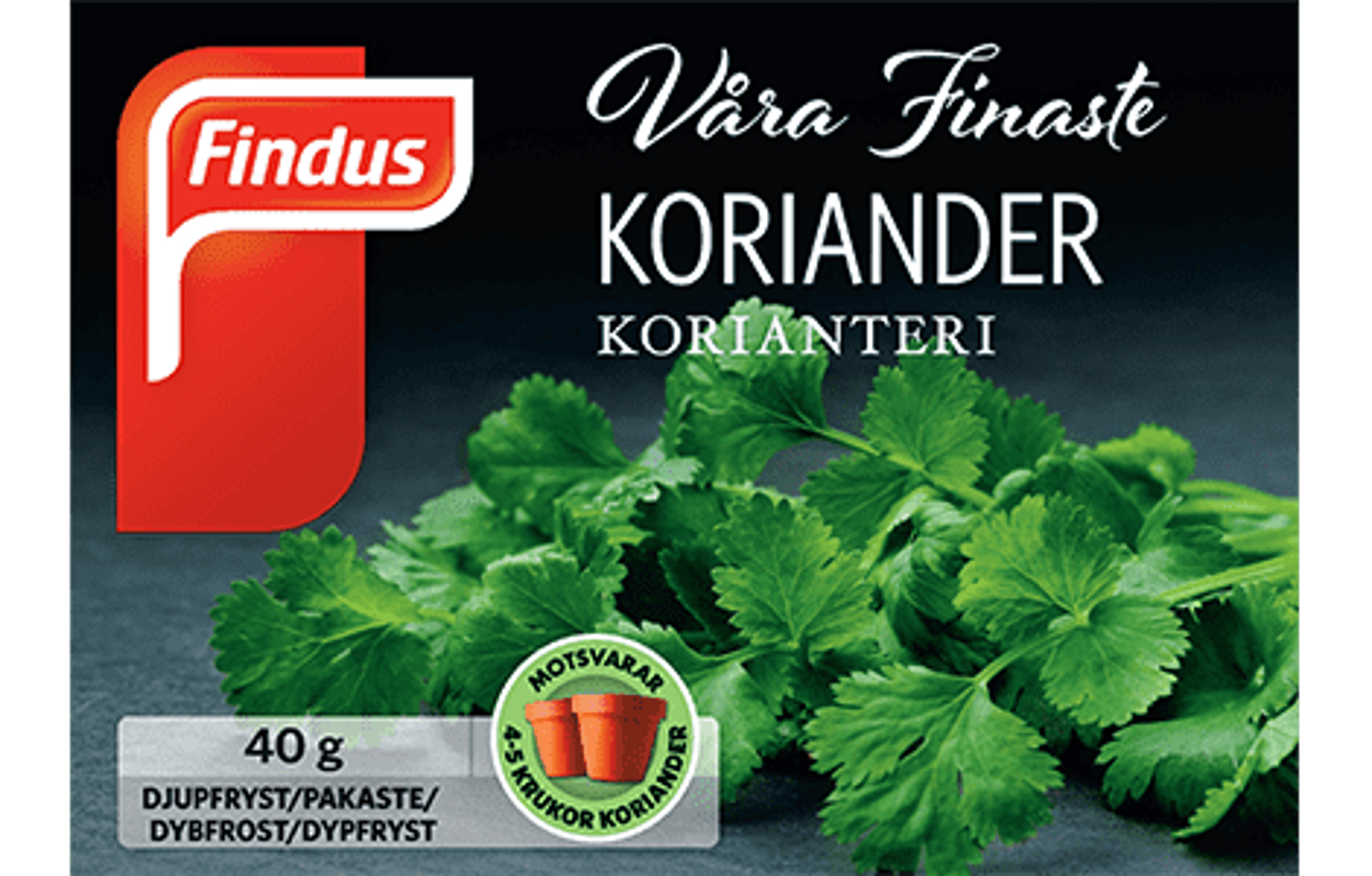 koriander_packshot470x300.png