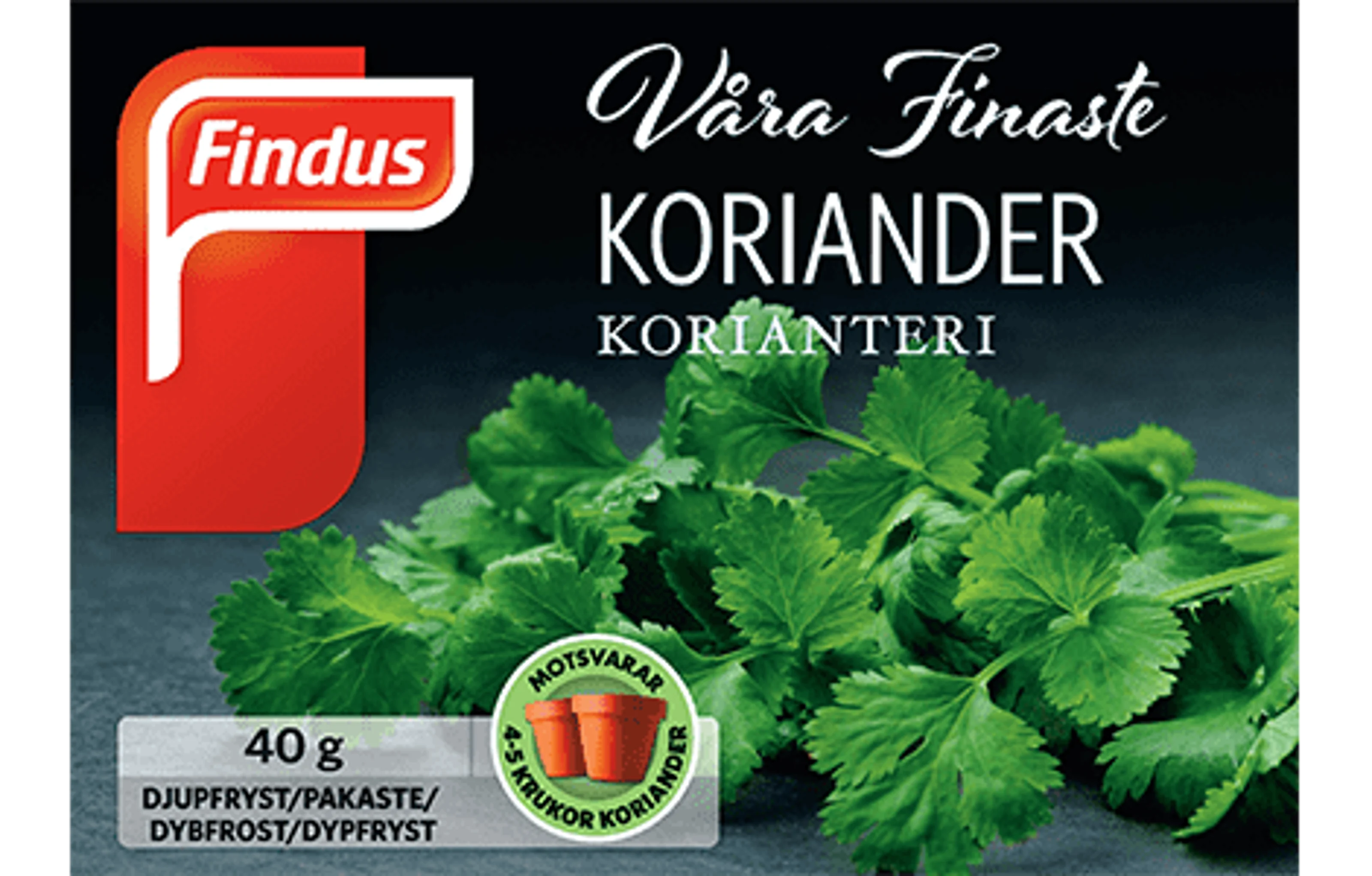 koriander_packshot470x300.png