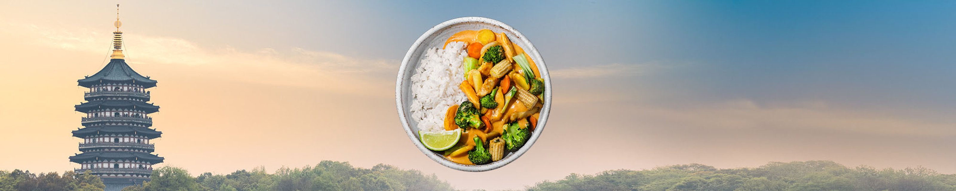 SE-WOK-category-2000x400px-Classic-450g.jpg
