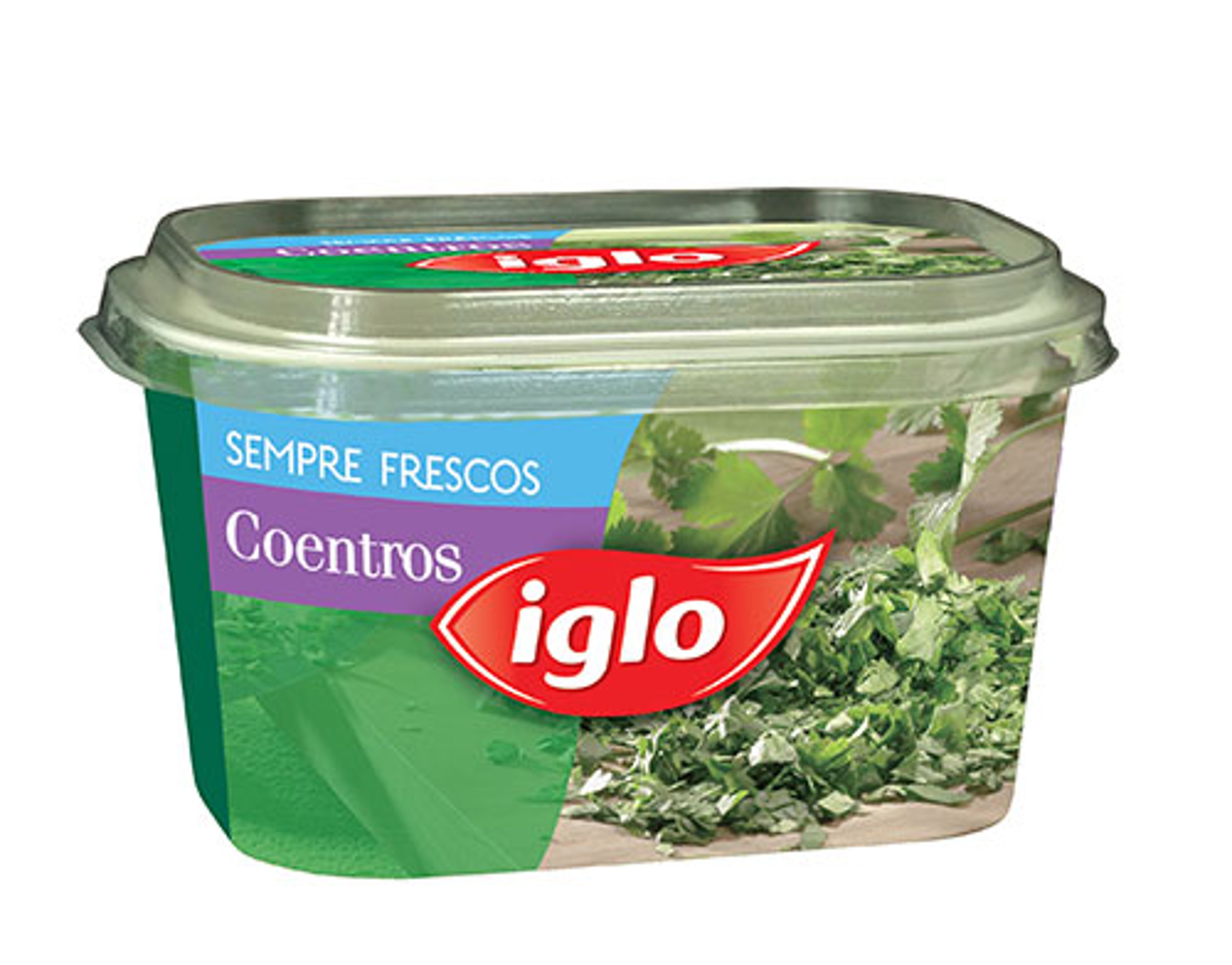 Coentros 40g.jpg