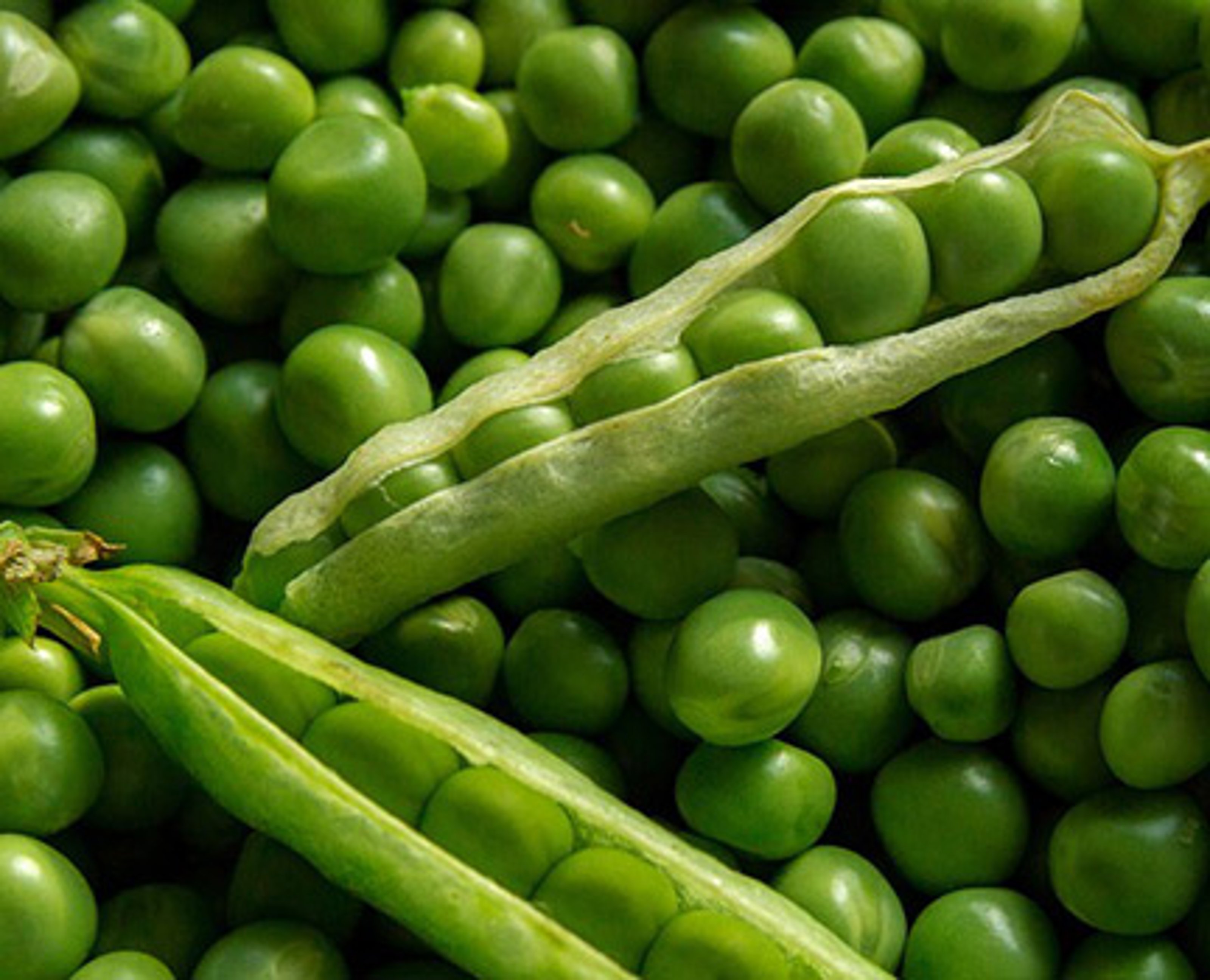 5 Peas close up.jpg