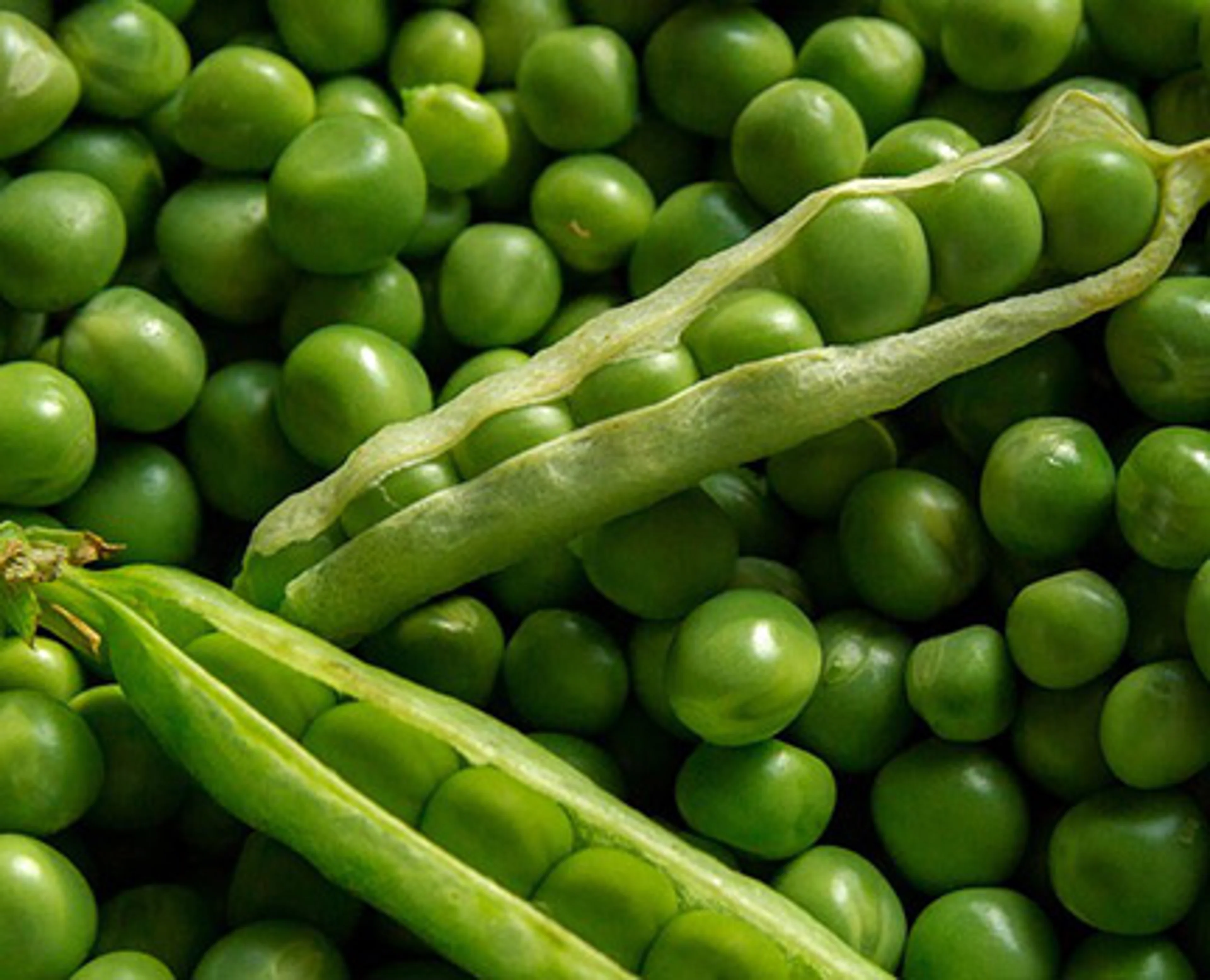 5 Peas close up.jpg