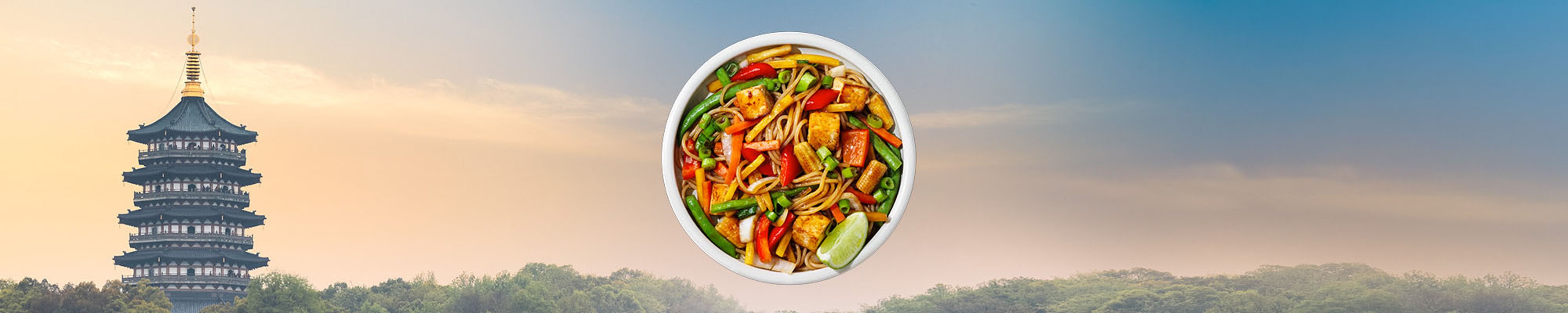 SE-WOK-category-2000x400px-Thai-450g.jpg